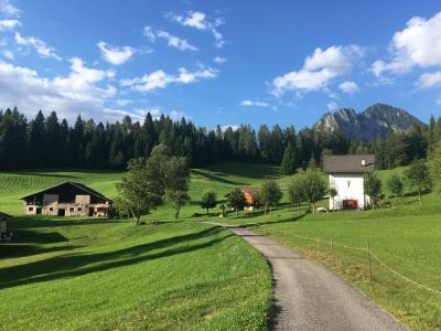 Paesaggio alpino con case, prati verdi e montagne sullo sfondo.