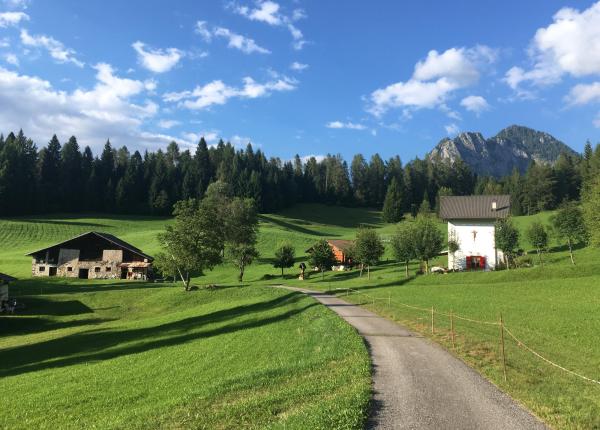 Paesaggio alpino con case, prati verdi e montagne sullo sfondo.