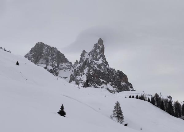 Montagne innevate sotto un cielo grigio con alberi sparsi.