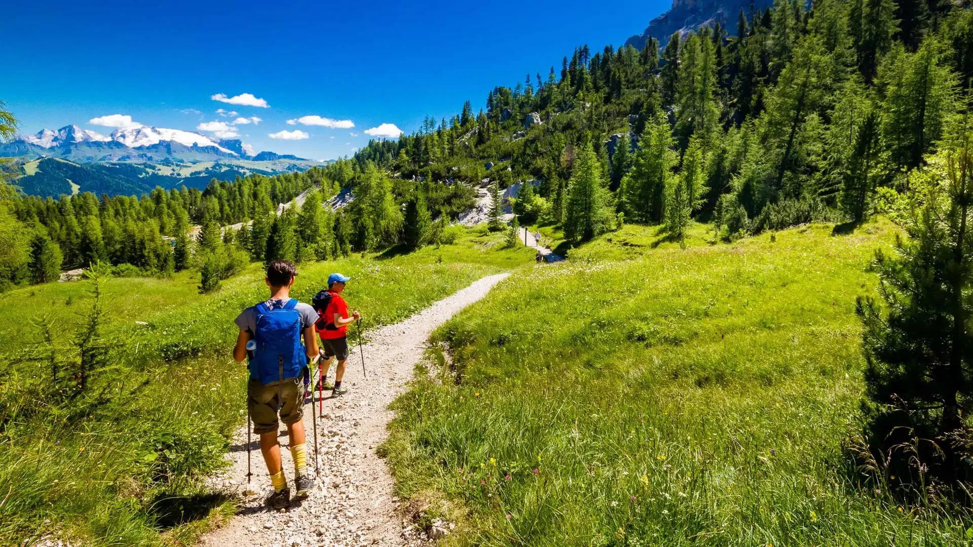 Due escursionisti su un sentiero di montagna circondati da verde e montagne innevate.