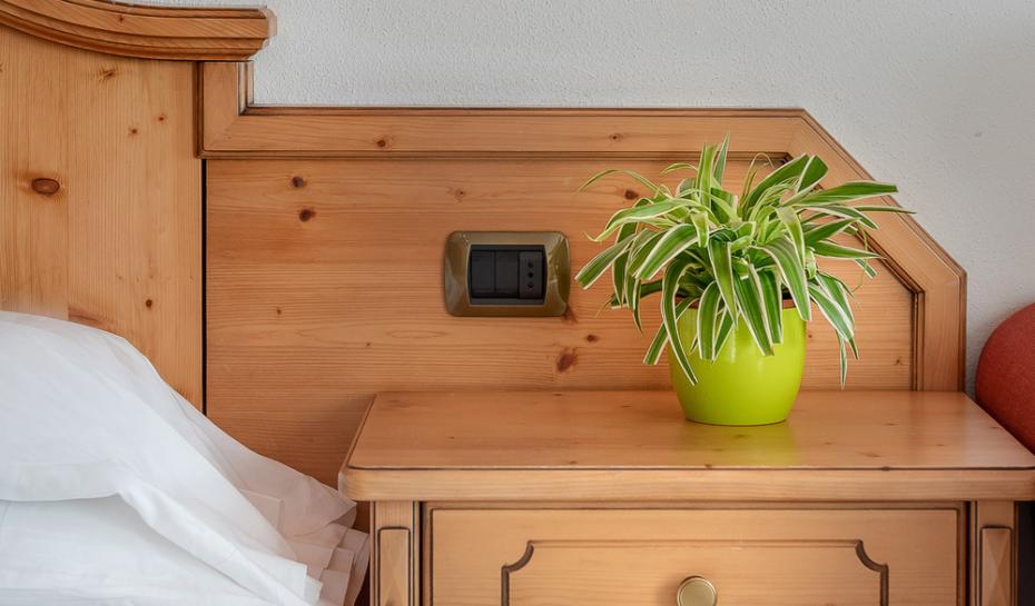 Wooden nightstand with plant and wall lamp.